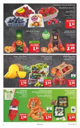 Gazetka promocyjna Marktkauf - Prospekt - Gazetka - ważna od 22.01 do 22.01.2022 - strona 10 - produkty: ananas, Bau, beere, beeren, bio, Blutorange, braun, champignon, champignons, deka, driscoll's, edeka bio, eis, ente, heidelbeere, heidelbeeren, himbeer, himbeere, himbeeren, kartoffel, kartoffeln, mandarine, mandarinen, orange, orangen, paprika, paprika rot, Physalis, saft, speisekartoffeln, Speisezwiebeln, Spitzpaprika, tafeläpfel, tafeltrauben, Ti, trauben, zwiebel, zwiebeln