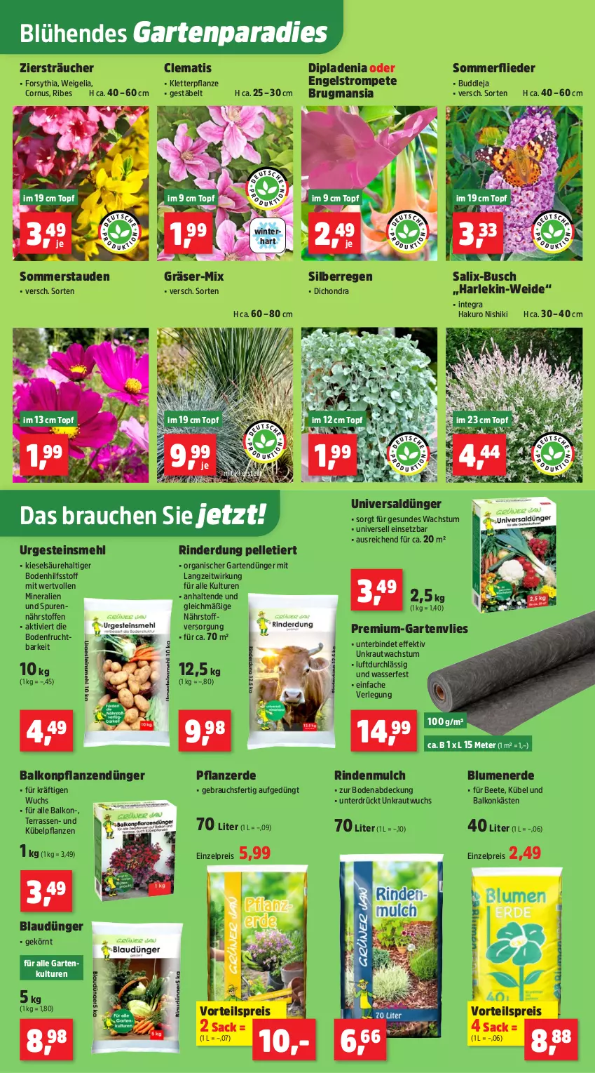 Aktueller Prospekt Thomas Philipps - von 13.04 bis 18.04.2026 - strona 5 - produkty: balkonpflanzen, blume, blumen, blumenerde, dip, dipladenia, dünger, eis, elle, Engel, erde, flieder, frucht, Garten, Gartenvlies, Kraut, kübelpflanzen, mehl, pflanze, pflanzen, pflanzerde, Rauch, reis, rind, rindenmulch, rinder, sac, stauden, Ti, topf, vorteilspreis, wasser