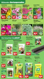 Gazetka promocyjna Thomas Philipps - Gazetka - ważna od 18.04 do 18.04.2026 - strona 5 - produkty: balkonpflanzen, blume, blumen, blumenerde, dip, dipladenia, dünger, eis, elle, Engel, erde, flieder, frucht, Garten, Gartenvlies, Kraut, kübelpflanzen, mehl, pflanze, pflanzen, pflanzerde, Rauch, reis, rind, rindenmulch, rinder, sac, stauden, Ti, topf, vorteilspreis, wasser