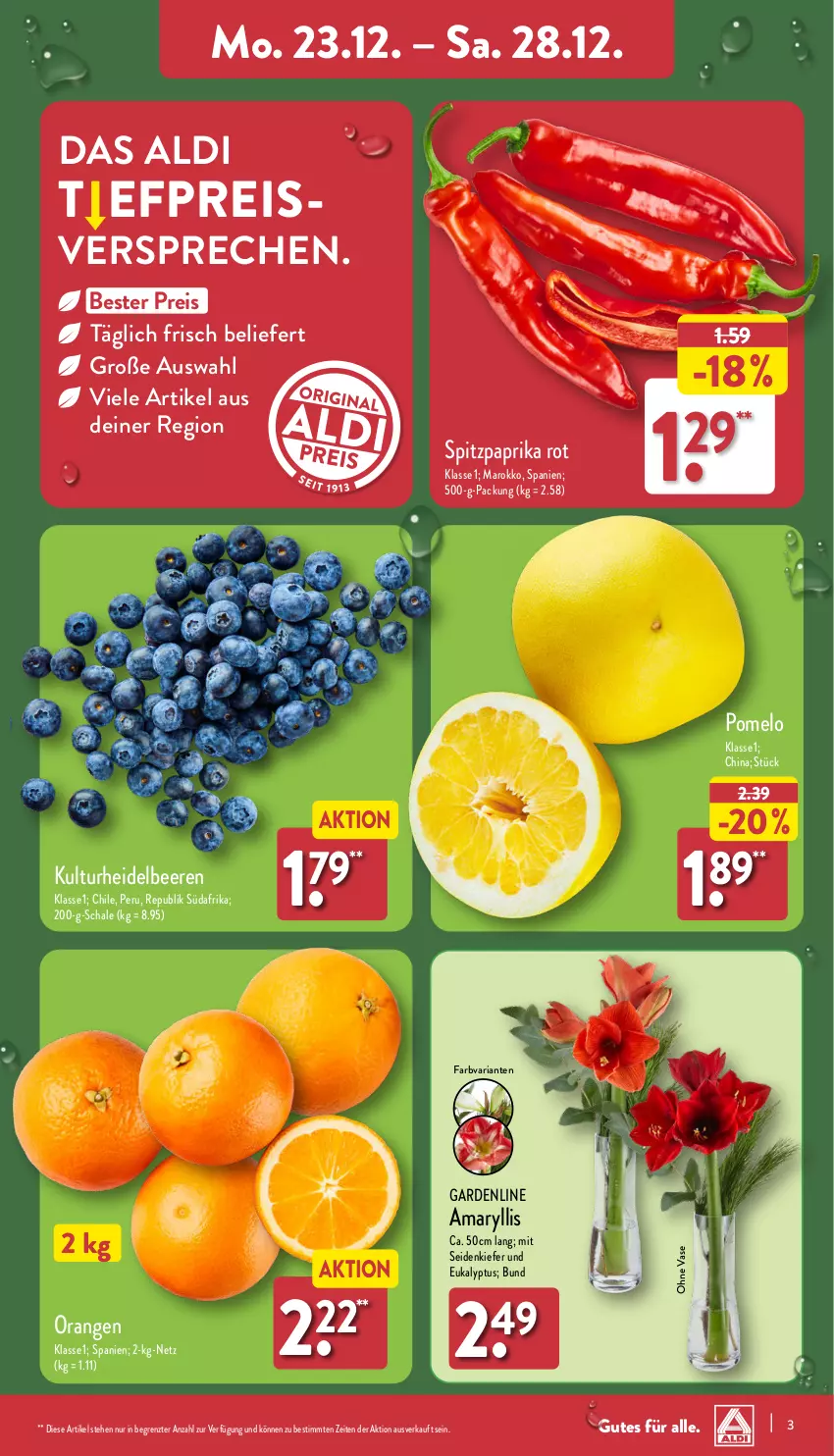 Aktueller Prospekt Aldi Nord - Von Montag - von 23.12 bis 28.12.2024 - strona 3 - produkty: aldi, beere, beeren, eis, heidelbeere, heidelbeeren, orange, orangen, paprika, paprika rot, Pomelo, reis, Ria, Schal, Schale, Spitzpaprika, Ti, Vase, ZTE