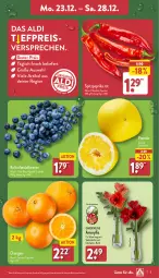 Gazetka promocyjna Aldi Nord - Von Montag - Gazetka - ważna od 28.12 do 28.12.2024 - strona 3 - produkty: aldi, beere, beeren, eis, heidelbeere, heidelbeeren, orange, orangen, paprika, paprika rot, Pomelo, reis, Ria, Schal, Schale, Spitzpaprika, Ti, Vase, ZTE