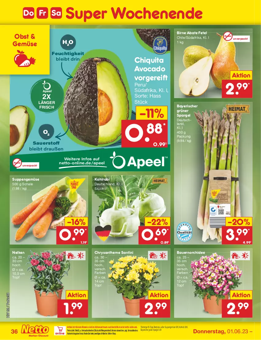 Aktueller Prospekt Netto Marken-Discount - Filial-Angebote - von 30.05 bis 03.06.2023 - strona 36 - produkty: asti, auer, avocado, Bau, Bauer, bestpreis, chiquita, eis, grüner spargel, kohlrabi, ndk, obst, orchidee, reis, Schal, Schale, spargel, suppe, suppen, Ti, topf