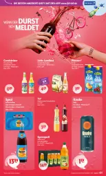 Gazetka promocyjna Getraenke Hoffmann - Prospekte - Gazetka - ważna od 01.08 do 01.08.2026 - strona 3 - produkty: angebot, angebote, apfel, Apfelschorle, beere, Blüte, cola, eis, gerolsteine, gerolsteiner, himbeer, himbeere, holunder, holunderblüte, ice tea, limo, limonade, malz, orange, pfanne, Pfanner, schorle, Spezi, Spreequell, steiner, Ti, Yo