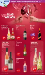 Gazetka promocyjna Getraenke Hoffmann - Prospekte - Gazetka - ważna od 01.08 do 01.08.2026 - strona 4 - produkty: angebot, angebote, auer, Bad, bowle, brause, burger, burgunder, ecco, eis, frizzante, frucht, grauer burgunder, Kaiser, katlenburger, Meister, mionetto, pfirsich, primitivo, prosecco, rosato, sim, spätburgunder, stuhl, Ti, waldmeister