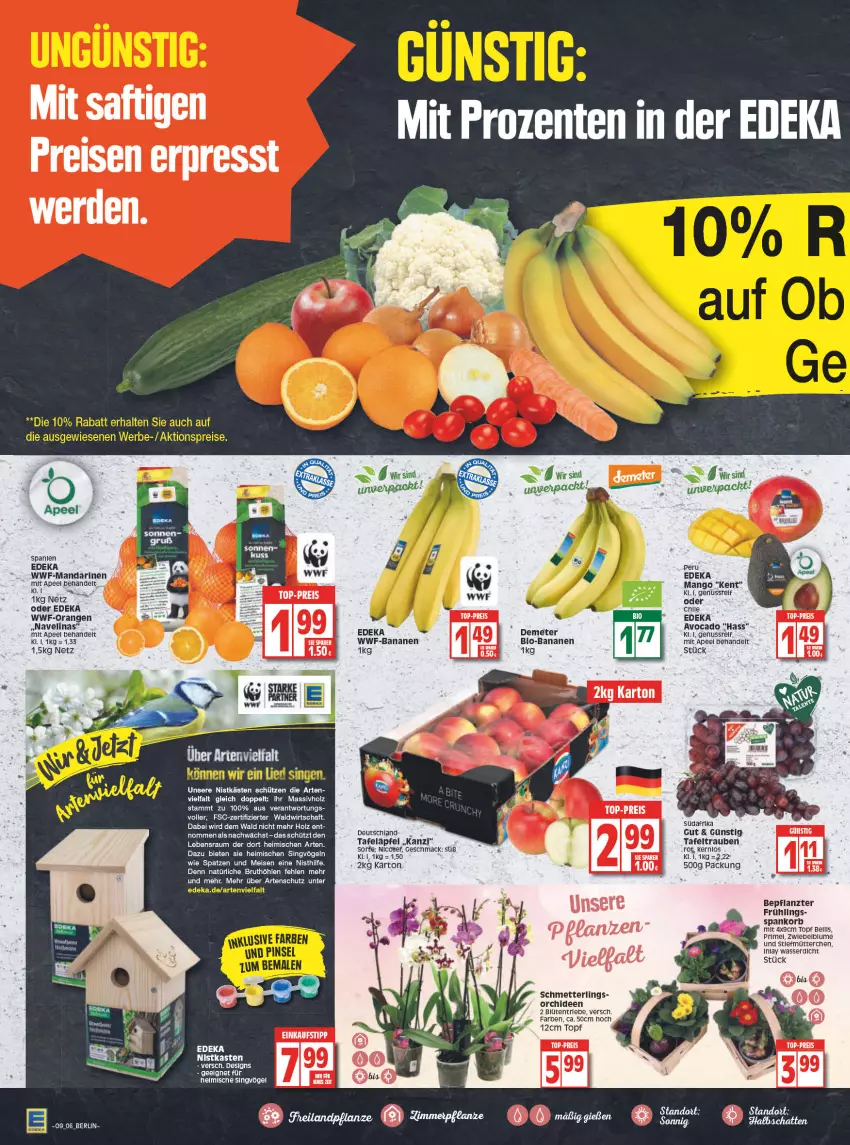 Aktueller Prospekt Edeka - Angebote der Woche - von 28.02 bis 05.03.2022 - strona 8 - produkty: avocado, banane, bananen, bio, bio-bananen, blume, brut, deit, deka, eis, elinas, ente, erde, Holz, korb, mac, mandarine, mandarinen, mango, massivholz, Mett, navelina, nuss, orange, orangen, orchidee, orchideen, reis, saft, Schmetterling, Schütze, tafeläpfel, tafeltrauben, tee, Ti, top-preis, topf, trauben, wasser, ZTE, zwiebel