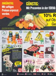 Gazetka promocyjna Edeka - Angebote der Woche - Gazetka - ważna od 05.03 do 05.03.2022 - strona 8 - produkty: avocado, banane, bananen, bio, bio-bananen, blume, brut, deit, deka, eis, elinas, ente, erde, Holz, korb, mac, mandarine, mandarinen, mango, massivholz, Mett, navelina, nuss, orange, orangen, orchidee, orchideen, reis, saft, Schmetterling, Schütze, tafeläpfel, tafeltrauben, tee, Ti, top-preis, topf, trauben, wasser, ZTE, zwiebel