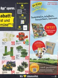 Gazetka promocyjna Edeka - Angebote der Woche - Gazetka - ważna od 05.03 do 05.03.2022 - strona 9 - produkty: auer, Bau, Bauer, feldsalat, lebensmittel, pflaume, pflaumen, salat, Schal, Schale, spargel, Ti, tomate, tomaten