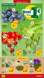 Gazetka promocyjna Penny - Prospekte - Gazetka - ważna od 02.03 do 02.03.2024 - strona 3 - produkty: Becher, beere, beeren, bio, heidelbeere, heidelbeeren, natur, salat, salatherzen, Schal, Schale, tomate, tomaten, topf