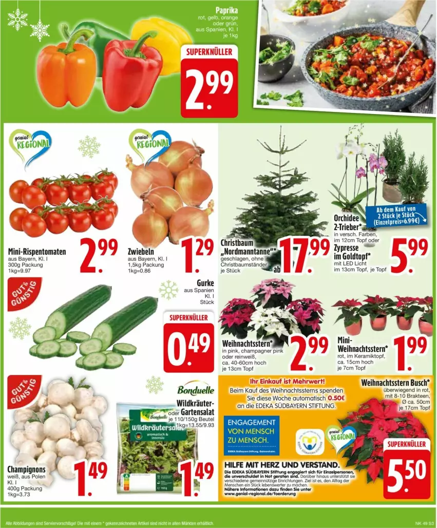 Aktueller Prospekt Edeka - Prospekte - von 02.12 bis 07.12.2024 - strona 5 - produkty: auto, beutel, bonduelle, champagne, champagner, champignon, champignons, deka, elle, erde, Garten, gurke, kräuter, mac, mini-rispentomaten, rispentomaten, rwe, salat, tee, Ti, tisch, tomate, tomaten, topf, Weihnachtsstern, Wild, zwiebel, zwiebeln