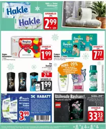 Gazetka promocyjna Edeka - Prospekte - Gazetka - ważna od 07.12 do 07.12.2024 - strona 23 - produkty: axe, axe duschgel, baby-dry, deka, duschgel, eier, Erkältungs, flasche, gin, kneipp, küche, Küchen, küchentücher, pampers, Pants, pflanze, Ti, tücher, windeln, windeln oder pants