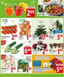 Gazetka promocyjna Edeka - Prospekte - Gazetka - ważna od 07.12 do 07.12.2024 - strona 5 - produkty: auto, beutel, bonduelle, champagne, champagner, champignon, champignons, deka, elle, erde, Garten, gurke, kräuter, mac, mini-rispentomaten, rispentomaten, rwe, salat, tee, Ti, tisch, tomate, tomaten, topf, Weihnachtsstern, Wild, zwiebel, zwiebeln