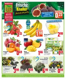 Gazetka promocyjna Edeka - Angebote der Woche - Gazetka - ważna od 14.10 do 14.10.2023 - strona 2 - produkty: Abtei, ananas, apfel, Astra, banane, bananen, beere, beeren, beutel, bonduelle, chrysanthemen, deka, eis, elle, ente, erdbeere, erdbeeren, Feigen, frucht, Garten, grana, granatapfel, Kaki, kopfsalat, kräuter, kräutern, lebensmittel, mango, nuss, obst, pflanze, pflanzen, Rana, reis, ring, rosen, salat, Schal, Schale, speyer, Stiegl, Ti, topf, wagner, Wild