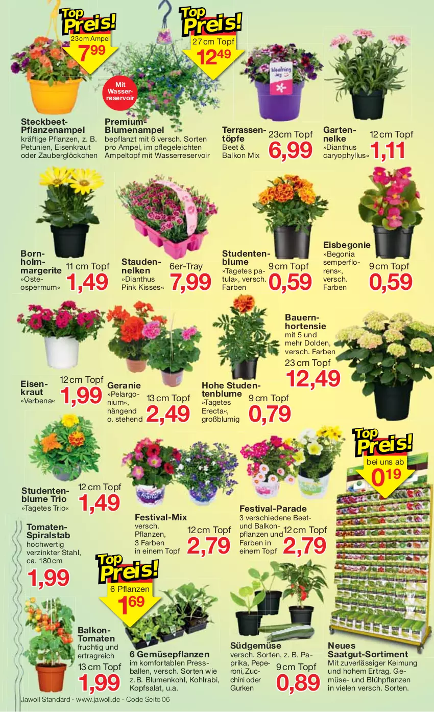 Aktueller Prospekt Jawoll - Prospekte - von 08.05 bis 14.05.2022 - strona 6 - produkty: auer, balkonpflanzen, ball, Bau, Bauer, beetpflanzen, Begonia, Begonie, blume, blumen, Blumenampel, blumenkohl, eis, ente, frucht, Garten, gartennelke, geranie, gurke, gurken, hortensie, HP, kohlrabi, kopfsalat, Kraut, paprika, Pelargonium, petunie, petunien, pflanze, pflanzen, salat, stauden, Ti, tomate, tomaten, topf, wasser, Yo, zauberglöckchen, zucchini