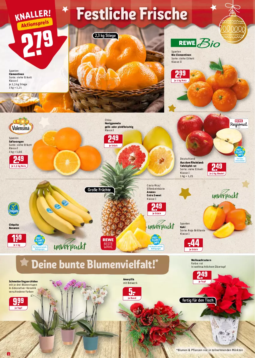 Aktueller Prospekt Rewe - Diese Woche im Angebot! - von 13.12 bis 18.12.2021 - strona 2 - produkty: ananas, banane, bananen, beutel, bio, blume, blumen, Blüte, chiquita, clementinen, eis, fleisch, früchte, honig, Honigpomelo, Kaki, Mett, orange, orangen, orchidee, pflanze, pflanzen, Pomelo, reis, saft, Saftorangen, Schmetterling, schmetterlingsorchidee, tafeläpfel, Ti, tisch, topf, übertopf, Weihnachtsstern