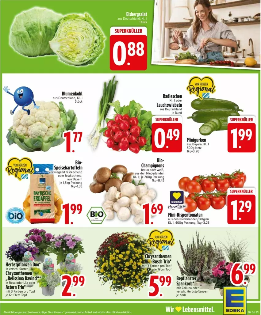 Aktueller Prospekt Edeka - Prospekte - von 01.09 bis 06.09.2025 - strona 7 - produkty: bio, blume, blumen, blumenkohl, braun, champignon, champignons, chrysanthemen, eis, gurke, gurken, kartoffel, kartoffeln, korb, Lauchzwiebel, lauchzwiebeln, LG, mini-rispentomaten, pflanze, pflanzen, radieschen, rispentomaten, sim, speisekartoffeln, tomate, tomaten, topf, zwiebel, zwiebeln