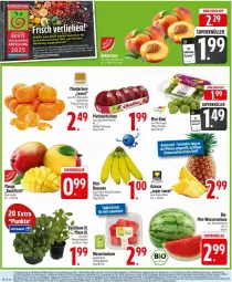 Gazetka promocyjna Edeka - Prospekte - Gazetka - ważna od 06.09 do 06.09.2025 - strona 6 - produkty: ananas, angebot, angebote, Becher, beutel, bio, deka, ente, hero, kiwi, LG, mandarine, mandarinen, mango, melone, Nektar, nektarinen, obst, Obst und Gemüse, pflanze, rwe, Schal, Schale, ssd, Ti, topf, und gemüse, wasser, wassermelone, wein, würfel