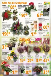 Gazetka promocyjna  - Prospekt für Globus Baumarkt  Achern - Gazetka - ważna od 22.10 do 22.10.2022 - strona 3 - produkty: Alpenveilchen, auer, beere, Blüte, decke, Deckel, dekoration, erde, garnier, Grabschale, Konifere, natur, pflanze, Ria, sac, Schal, Schale, Ti, topf, ZTE