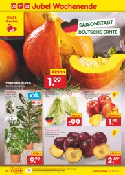 Gazetka promocyjna Netto Marken-Discount - Filial-Angebote - Gazetka - ważna od 03.09 do 03.09.2022 - strona 32 - produkty: asti, bestpreis, eis, fleisch, Kürbis, ndk, Nektar, nektarinen, obst, pflanze, pflanzen, pflaume, pflaumen, reis, Schal, Schale, spitzkohl, Ti, topf, versandkostenfrei