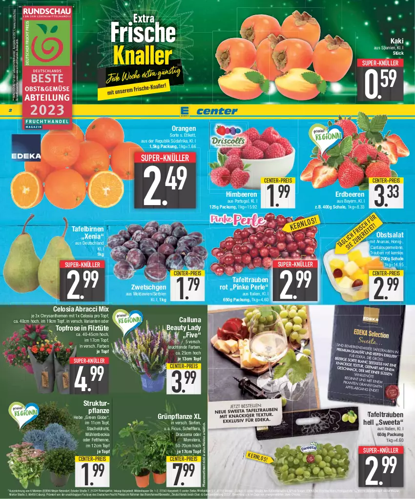 Aktueller Prospekt Edeka - Angebote der Woche - von 02.10 bis 07.10.2023 - strona 2 - produkty: Abtei, ACC, ananas, Astra, beere, beeren, Birnen, chrysanthemen, deka, Draht, eis, ente, erdbeere, erdbeeren, Ficus, frucht, Garten, himbeer, himbeere, himbeeren, honig, Kaki, lebensmittel, Leuchte, leuchten, melone, monster, Monstera, obst, orange, orangen, pflanze, pflanzen, reis, Ria, ring, rosen, salat, Schal, Schale, speyer, Stiegl, super-knüller, tafelbirnen, tafeltrauben, Ti, topf, trauben, Tüte, wagner, Wild