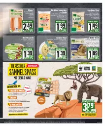 Gazetka promocyjna Edeka - Angebote der Woche - Gazetka - ważna od 30.09 do 30.09.2023 - strona 19 - produkty: Becher, Bergkäse, beutel, blume, blumen, brötchen, deka, dinkelbrötchen, eis, emmentaler, erbsen, geback, gouda, hummus, Käse, kichererbsen, meersalz, mozzarella, natur, nuss, Ofen, reis, rel, salat, salate, salz, sesam, Sesamöl, snack, snacks, sonnenblume, sonnenblumen, Sonnenblumenkerne, sonnenblumenkernen, spitzenqualität, steinofen, Ti, tisch, trolli, wiener, ZTE