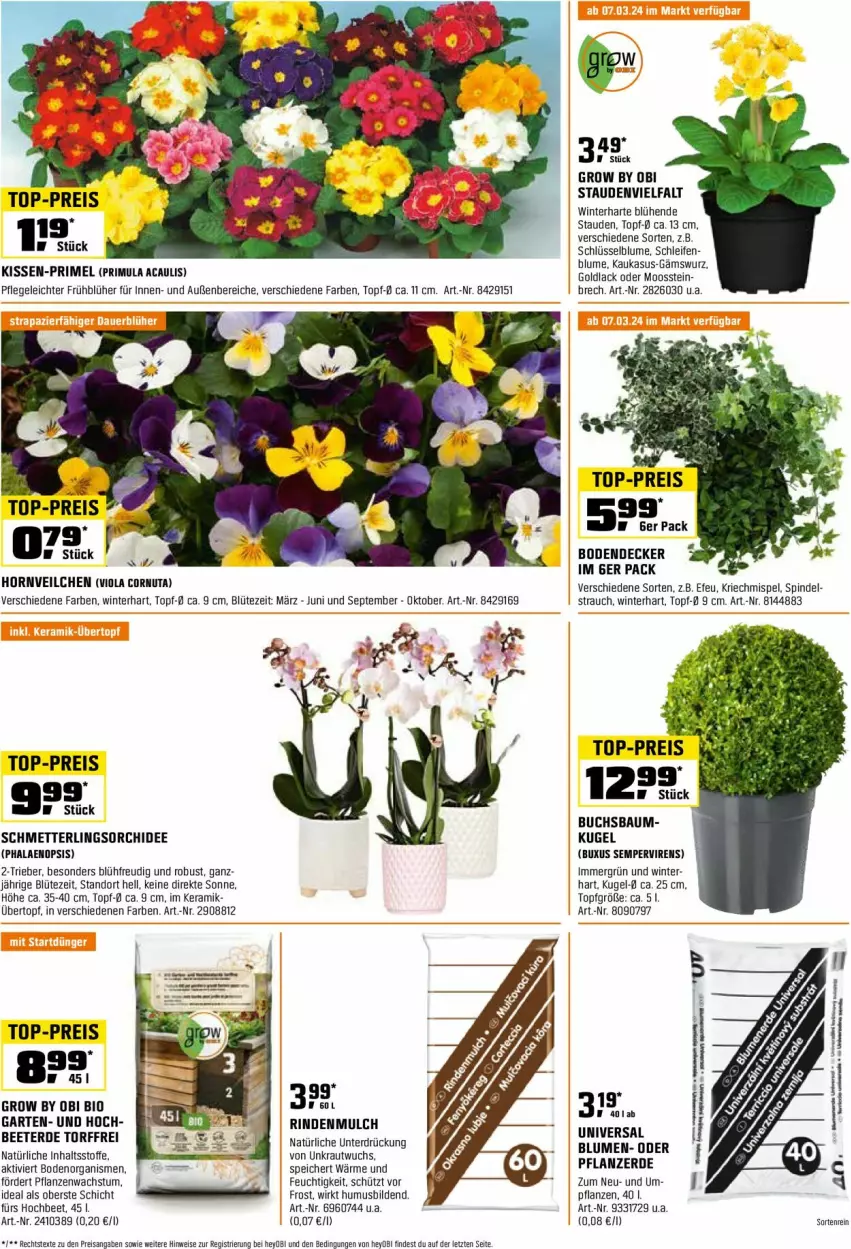 Aktueller Prospekt Obi - Prospekte - von 29.02 bis 31.03.2024 - strona 8 - produkty: asus, Bau, bio, blume, Blüte, buch, decke, eis, erde, Garten, kissen, Kraut, Kugel, lack, Mett, orchidee, pflanze, pflanzen, phalaenopsis, Rauch, reis, rind, rindenmulch, Schmetterling, schmetterlingsorchidee, stauden, Ti, top-preis, topf, übertopf, usb, Yo, ZTE