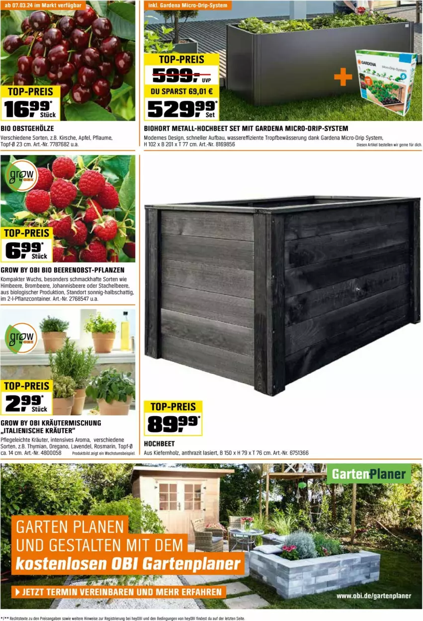 Aktueller Prospekt Obi - Prospekte - von 29.02 bis 31.03.2024 - strona 9 - produkty: apfel, Bau, beere, beeren, bio, biohort, brombeere, Container, eis, elle, ente, gardena, Garten, himbeer, himbeere, Holz, johannisbeere, kirsch, kirsche, kräuter, Kräutermischung, lavendel, mac, Mode, obst, pflanze, pflanzen, pflaume, rosmarin, Ti, topf, wasser