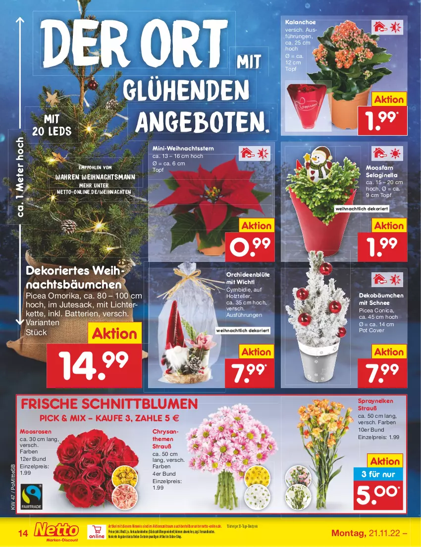 Aktueller Prospekt Netto Marken-Discount - Filial-Angebote - von 21.11 bis 26.11.2022 - strona 14 - produkty: angebot, angebote, batterie, batterien, bestpreis, blume, blumen, Blüte, chrysanthemen, eis, elle, gin, Holz, Kalanchoe, Kette, leds, lichterkette, ndk, orchidee, orchideen, reis, rezept, Ria, rosen, sac, teller, tesa, Ti, topf, weihnachten, Weihnachtsstern, ZTE