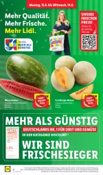 Gazetka promocyjna Lidl - Aktionsprospekt - Gazetka - ważna od 17.06 do 17.06.2023 - strona 8 - produkty: Abtei, angebot, Cantaloupe-melone, discount, eis, ente, frucht, magazin, melone, obst, Obst und Gemüse, reis, Ti, und gemüse, wasser, wassermelone