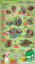 Gazetka promocyjna Thomas Philipps - Gazetka - ważna od 19.10 do 19.10.2024 - strona 3 - produkty: akku, bio, biozidprodukte, decke, Deckel, dekoration, edelstahl, eis, Grabschale, kissen, kokos, Konifere, Kranz, leds, Rauch, Reinigung, Reinigungsmittel, reis, rwe, Schal, Schale, Schmuck, Ti, topf, vorteilspreis