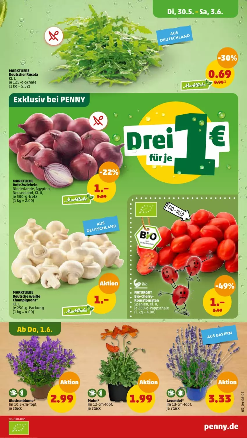 Aktueller Prospekt Penny - Prospekte - von 29.05 bis 03.06.2023 - strona 3 - produkty: blume, champignon, champignons, cola, Elan, Rote Zwiebel, rucola, Schal, Schale, topf, zwiebel, zwiebeln