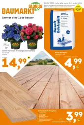 Gazetka promocyjna  - Gazetka - ważna od 25.07 do 25.07.2026 - strona 1 - produkty: auer, Brei, eis, Garten, hortensie, hydrangea, hydrangea macrophylla, mac, reis, sac, Ti, topf