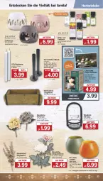 Gazetka promocyjna Famila - Prospekte - Gazetka - ważna od 12.08 do 12.08.2023 - strona 23 - produkty: auer, braun, creme, decke, Duftlampe, eis, Holz, hortensie, kerze, Kerzenhalter, Lampe, orange, papier, reis, Stabkerze, tablet, tablett, tee, Teelicht, teelichte, Ti, Vase, windlicht, ZTE