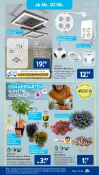 Gazetka promocyjna AldiSud - NÄCHSTE WOCHE - Gazetka - ważna od 10.06 do 10.06.2023 - strona 28 - produkty: adapter, aldi, alle artikel ohne dekoration, beleuchtung, decke, deckenleuchte, dekoration, dell, eis, elle, Garten, gin, hortensie, hortensien, HP, kleid, Kleidung, Kugel, kulturtopf, Leuchte, leuchten, minze, Mode, pflanze, stauden, steckdose, Ti, topf, usb, zauberglöckchen, ZTE