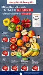 Gazetka promocyjna AldiSud - ALDI Aktuell - Gazetka - ważna od 29.01 do 29.01.2022 - strona 2 - produkty: aldi, banane, bananen, beere, beeren, bio, bio-bananen, Blutorange, eis, erdbeere, erdbeeren, kiwi, Kiwi Gold, kracher, lebensmittel, natur, orange, orangen, paprika, Rauch, reis, rum, Tasche, Ti, Yo