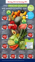 Gazetka promocyjna AldiSud - ALDI Aktuell - Gazetka - ważna od 29.01 do 29.01.2022 - strona 3 - produkty: aldi, asti, avocado, bio, elle, erde, kiwi, leine, LG, mandarine, mandarinen, melone, natur, obst, Obst und Gemüse, paprika, paprika rot, rum, Schal, Schale, spitzkohl, Spitzpaprika, Ti, und gemüse, wasser, wassermelone, Wirsing, zitrone, zitronen