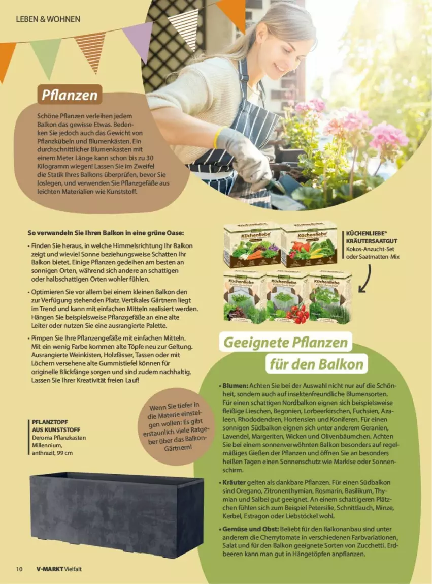 Aktueller Prospekt Vmarkt - Prospekte - von 04.06 bis 18.06.2025 - strona 10 - produkty: basilikum, beere, beeren, blume, blumen, eis, elle, erde, gin, gsw, Gummistiefel, Holz, kräuter, leine, Palette, pflanze, pflanzen, Pflanzkasten, Pflanztopf, rosmarin, salat, sonnenschutz, tasse, Ti, topf, wein, zitrone, zitronen
