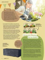 Gazetka promocyjna Vmarkt - Prospekte - Gazetka - ważna od 18.06 do 18.06.2025 - strona 10 - produkty: basilikum, beere, beeren, blume, blumen, eis, elle, erde, gin, gsw, Gummistiefel, Holz, kräuter, leine, Palette, pflanze, pflanzen, Pflanzkasten, Pflanztopf, rosmarin, salat, sonnenschutz, tasse, Ti, topf, wein, zitrone, zitronen