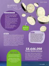Gazetka promocyjna Vmarkt - Prospekte - Gazetka - ważna od 18.06 do 18.06.2025 - strona 27 - produkty: aubergine, auberginen, ball, Bau, decke, eis, elle, ente, erde, Flavon, frucht, Gesundheit, gin, kühlschrank, obst, Obst und Gemüse, pflanze, pflanzen, Rauch, saft, Schrank, Ti, tomate, tomaten, und gemüse, würfel