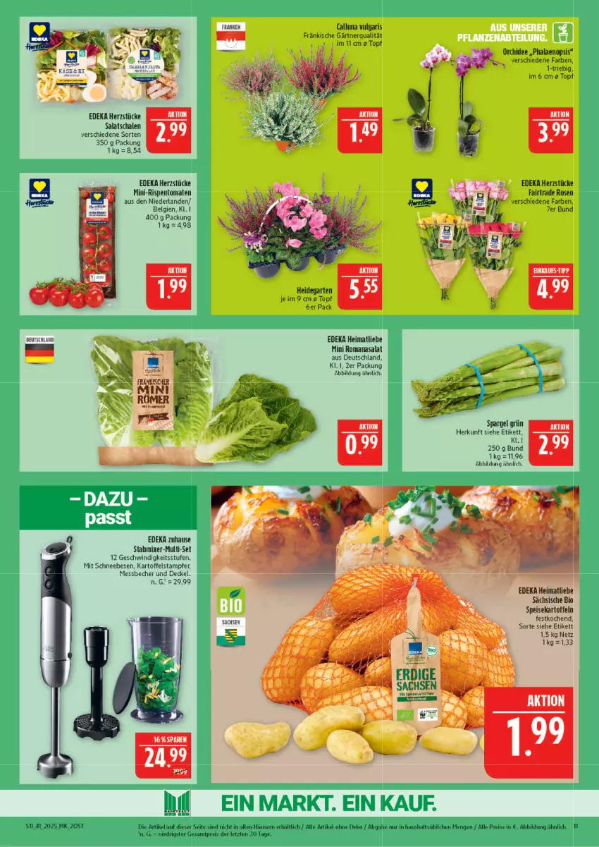 Aktueller Prospekt Marktkauf - Prospekt - von 05.10 bis 11.10.2025 - strona 11 - produkty: Becher, bio, decke, Deckel, deka, eis, Garten, kartoffel, kartoffeln, LG, Messbecher, mini-rispentomaten, Mixer, orchidee, phalaenopsis, reis, rispentomaten, Romanasalat, rosen, salat, Schal, Schale, Schneebesen, spargel, spargel grün, speisekartoffeln, Ti, tomate, tomaten, topf, ZTE