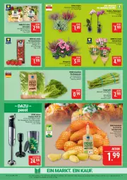 Gazetka promocyjna Marktkauf - Prospekt - Gazetka - ważna od 11.10 do 11.10.2025 - strona 11 - produkty: Becher, bio, decke, Deckel, deka, eis, Garten, kartoffel, kartoffeln, LG, Messbecher, mini-rispentomaten, Mixer, orchidee, phalaenopsis, reis, rispentomaten, Romanasalat, rosen, salat, Schal, Schale, Schneebesen, spargel, spargel grün, speisekartoffeln, Ti, tomate, tomaten, topf, ZTE