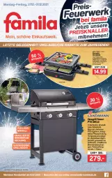 Gazetka promocyjna Famila - Prospekte - Gazetka - ważna od 31.12 do 31.12.2021 - strona 1 - produkty: decke, Deckel, dell, edelstahl, eis, elle, gasgrill, grill, grillrost, Holz, latte, Mode, reis, Schal, Schale, teller, Ti, ZTE