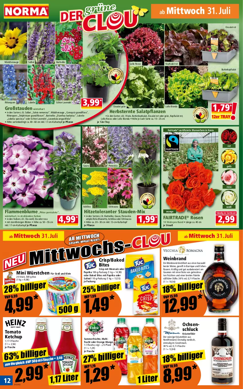 Aktueller Prospekt Norma - Norma - von 29.07 bis 05.08.2024 - strona 12 - produkty: bio, bites, blume, blumen, Blüte, Brei, butter, Cif, Echinacea, eis, flasche, frucht, früchte, früchten, ketchup, kopfsalat, kräuter, kräuterlikör, kulturtopf, lamm, lavendel, likör, Lobelie, mac, mango, meersalz, mit paprika, orange, oreo, Palette, paprika, pflanze, pflanzen, ritter, rosen, rum, salat, salz, stauden, Ti, tomato ketchup, topf, usb, wein, weinbrand, weine, würstchen