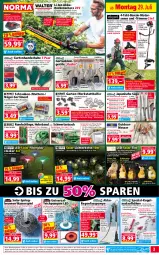 Gazetka promocyjna Norma - Norma - Gazetka - ważna od 05.08 do 05.08.2024 - strona 3 - produkty: adapter, akku, asti, auer, aufbewahrungsbox, aust, auto, Bau, Beba, Bebe, Behälter, Blüte, brunnen, Draht, edelstahl, eis, Elan, elle, Garten, gin, handschuhe, heckenschere, Holz, hörnchen, HP, ilag, Kette, kraft, Kugel, ladegerät, Laufen, leds, LG, lichterkette, Liege, lion, messer, Motorsense, ndk, rasen, Rauch, reis, ring, rum, sac, säge, Schal, Schere, schlauch, schrauben, schuhe, Spezi, stifte, Tasche, Teleskop, Ti, tisch, wasser, Yo