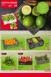 Gazetka promocyjna Selgros - Food - Gazetka - ważna od 31.07 do 31.07.2024 - strona 10 - produkty: dessert, desserts, eis, limette, limetten, Mett, metten, reis, Ti