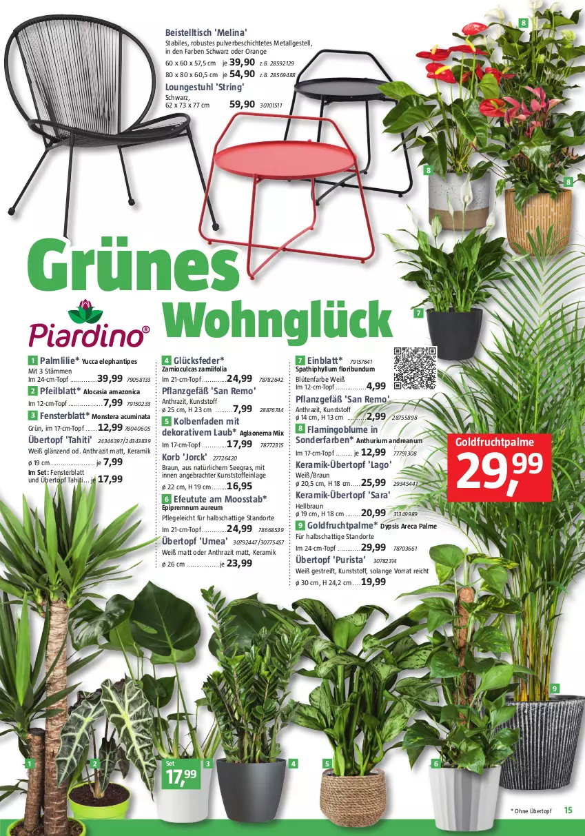 Aktueller Prospekt Bauhaus - Prospekte - von 27.01 bis 24.02.2024 - strona 15 - produkty: beistelltisch, blume, Blüte, braun, eis, fenster, frucht, korb, LG, monster, Monstera, orange, ring, String, stuhl, Ti, tisch, topf, übertopf