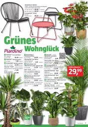 Gazetka promocyjna Bauhaus - Prospekte - Gazetka - ważna od 24.02 do 24.02.2024 - strona 15 - produkty: beistelltisch, blume, Blüte, braun, eis, fenster, frucht, korb, LG, monster, Monstera, orange, ring, String, stuhl, Ti, tisch, topf, übertopf