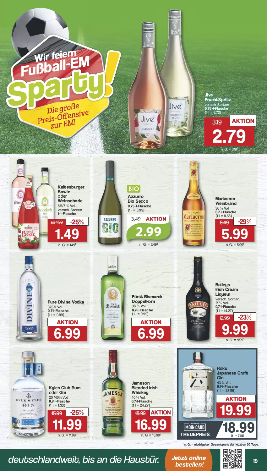 Aktueller Prospekt Famila - Prospekte - von 10.06 bis 15.06.2024 - strona 19 - produkty: altenburger, aust, baileys, ball, bio, bismarck, bowle, burger, doppelkorn, ecco, eier, eis, elle, flasche, frucht, Fußball, gin, irish cream, irish whiskey, jameson, korn, liqueur, mariacron, reis, Ria, rum, schorle, Ti, vodka, wein, weinbrand, weinschorle, whiskey, ZTE