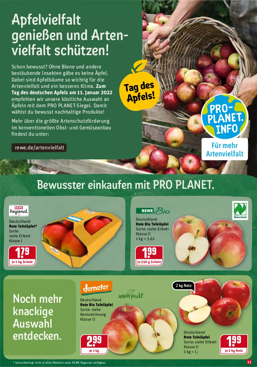 Aktueller Prospekt Rewe - Diese Woche im Angebot! - von 10.01 bis 15.01.2022 - strona 11 - produkty: apfel, Bau, bio, decke, elle, Elvie, obst, rote tafeläpfel, Schal, Schale, Schütze, sekt, tafeläpfel, Ti, und gemüse