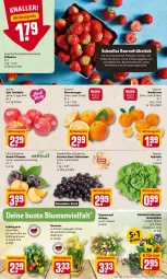 Gazetka promocyjna Rewe - Diese Woche im Angebot! - Gazetka - ważna od 05.03 do 05.03.2022 - strona 2 - produkty: aktionspreis, banane, bananen, beere, beeren, blume, blumen, dekoration, eis, elle, erdbeere, erdbeeren, hafer, haferflocken, kopfsalat, LG, mandarine, mandarinen, mandel, Mandelmus, Narzissen, orange, orangen, pflanze, pflanzen, pflaume, pflaumen, reis, rote tafeläpfel, salat, Schal, Schale, schüssel, Skyr, tafeläpfel, tafeltrauben, Ti, topf, trauben