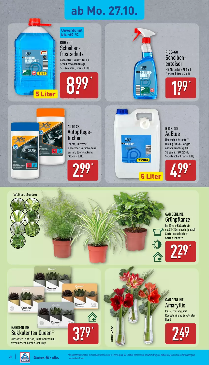 Aktueller Prospekt Aldi Nord - Von Montag - von 27.10 bis 01.11.2025 - strona 20 - produkty: adblue, auto, Blüte, Brei, eis, ente, flasche, gin, kulturtopf, pflanze, pflanzen, Sukkulente, Ti, topf, tücher, Vase, ZTE